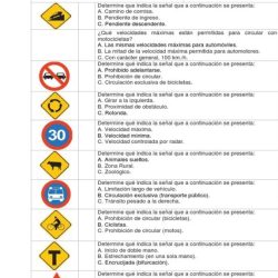 Manejo examen preguntas respuestas teorico dmv licencia conductor