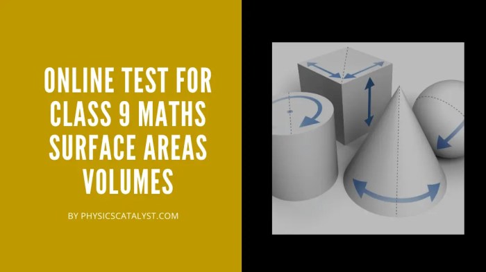 Unit 11 test volume and surface area