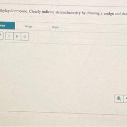 Draw the structure of 1 1 dimethylethyl cyclopentane